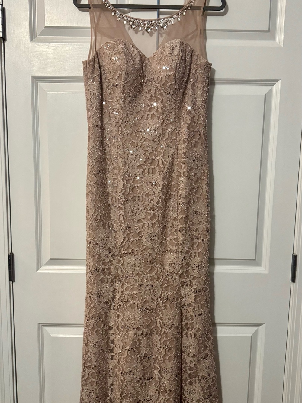 Alex Evenings Nude Lace Sequin Maxi Gown. 🤎